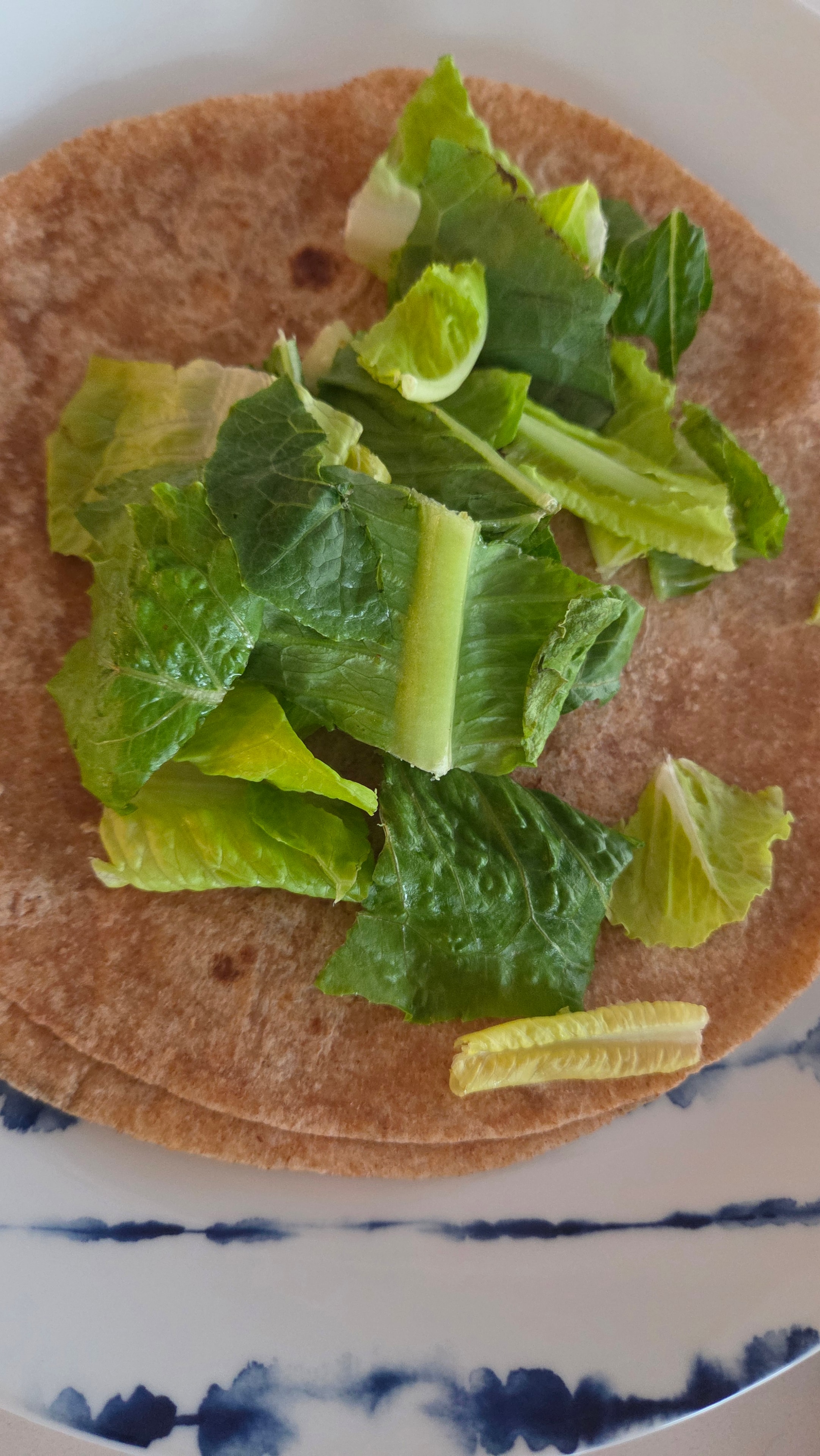 Whole grain tortilla layered with fresh romaine
