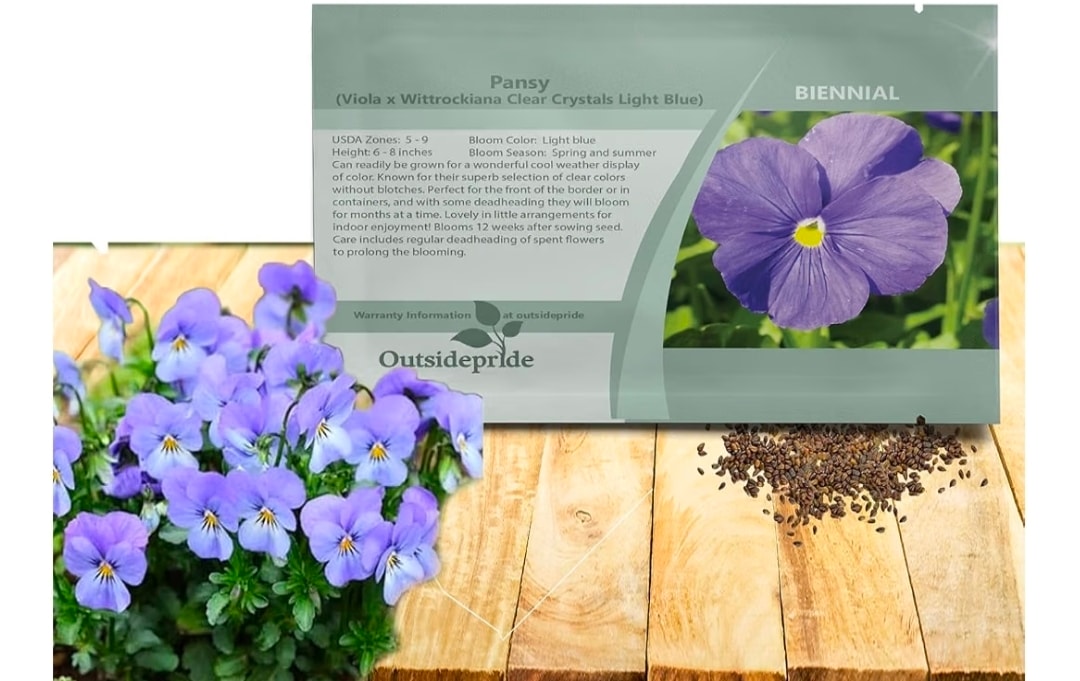 Outsidepride Light Blue Viola Pansy Seeds for Planting